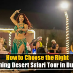 Premium desert safari